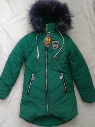 Зимняя куртка-пальто на девочек. Цвет - зеленый 
Модель классическая прямая, сза. . фото 11