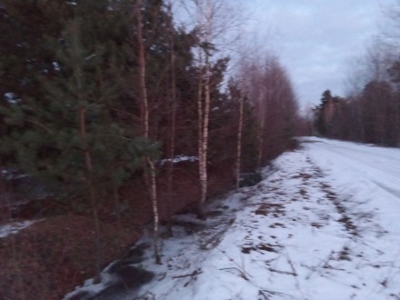 Продаємо землю під забудову в с.Сильно ( Шацькі озера). Луцк. фото 1 Продаємо землю під забудову в с.Сильно ( Шацькі озера). Луцк. фото 1