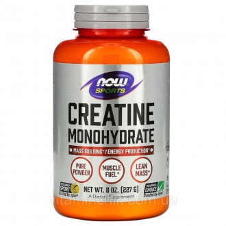 Креатин моногидрат, Creatine Monohydrate, Now Foods, порошок 227 гр. Київ. фото 1 Креатин моногидрат, Creatine Monohydrate, Now Foods, порошок 227 гр. Київ. фото 1