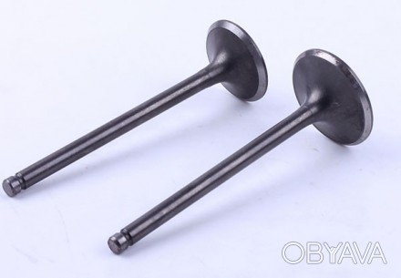 Клапаны (пара) - ZUBR Размеры: L-90mm. Диаметр ножки: Ø5.45mm. Диаметр шляпок: Ø. . фото 1