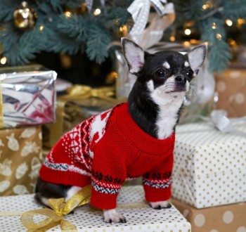 Теплая модная новогодняя одежда для собак вязаный шерстяной свитер красный унисе. . фото 4