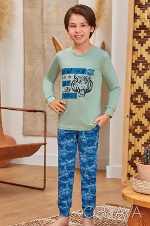 Пижама для мальчика Арт. 9791-499
Цвет: оливковая с голубым
Состав: 95% хлопок 5. . фото 1