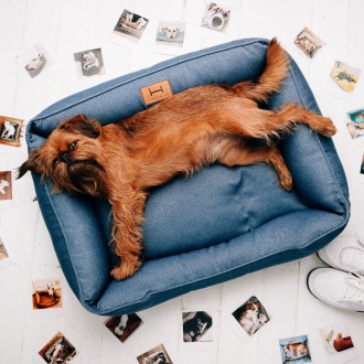Каркасный лежак Dreamer Mustard для собак из прочной ткани с бортами со съемным . . фото 4