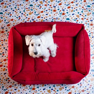 Каркасный вельветовый лежак Dreamer Velvet для собак с бортами со съемным чехлом. . фото 6