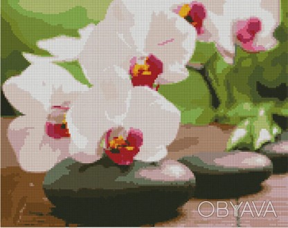 Алмазная картина FA40792 «Орхідея на камінцях», розміром 40х50 см