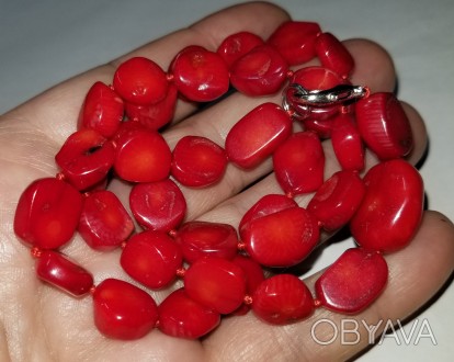 Красный Коралл – камень, который способен принести огромную пользу его обл. . фото 1