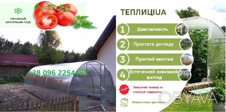 Теплица для дома и дачи ИДЕАЛ