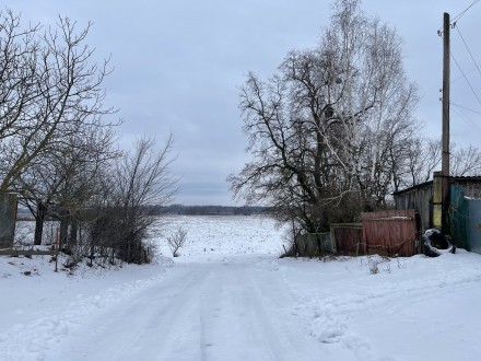 Продам земельный участок под застройку или усадьбу . 30 км от Чернигова - с.Слаб. . фото 6