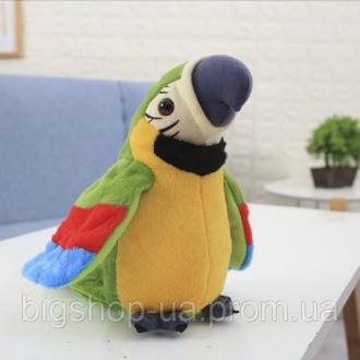 
Популярный попугай повторюшка запоминает и воспроизводит отдельные слова, фразы. . фото 4