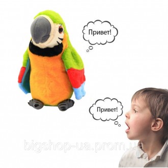 
Популярный попугай повторюшка запоминает и воспроизводит отдельные слова, фразы. . фото 5