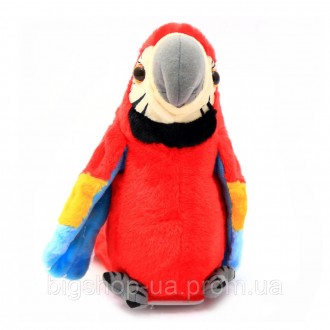 
Популярный попугай повторюшка запоминает и воспроизводит отдельные слова, фразы. . фото 4