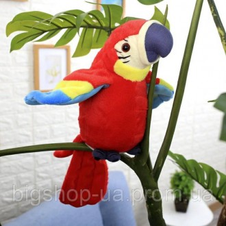 
Популярный попугай повторюшка запоминает и воспроизводит отдельные слова, фразы. . фото 3