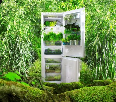Однокамерный холодильник GORENJE R 6192 LW высотой 185 см. Технология IonAir уст. . фото 6