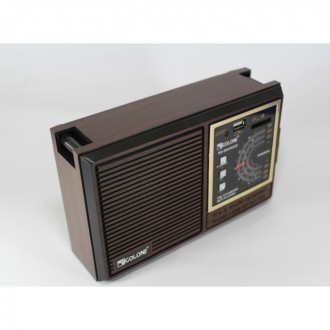 Радиоприёмник GOLON RX-9933UAR
Отличный вариант для дома, дачи, для тех кто люби. . фото 4