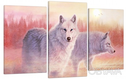 Модульная картина "Волки" из трех частей. D ан Rozhdenyya или поселенец, Новый г. . фото 1