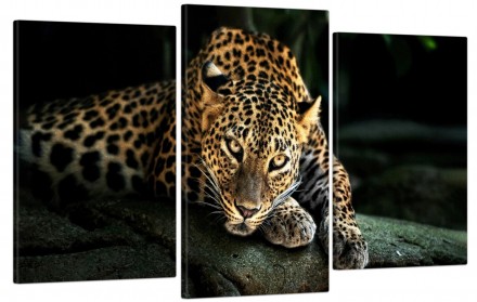 Модульная картина "Леопард" из трех частей. День Рождения или новосел, Новый год. . фото 2