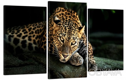 Модульная картина "Леопард" из трех частей. День Рождения или новосел, Новый год. . фото 1