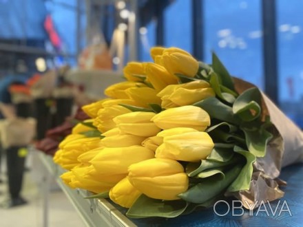Тюльпаны из Голландии на 8 марта оптом опт