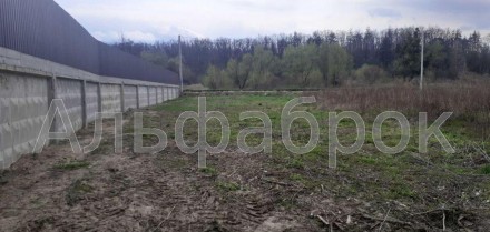 Продам земельну ділянку 14 соток у Ходосівці, Києво-Святошинського району.
Два а. . фото 13