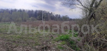 Продам земельну ділянку 14 соток у Ходосівці, Києво-Святошинського району.
Два а. . фото 14