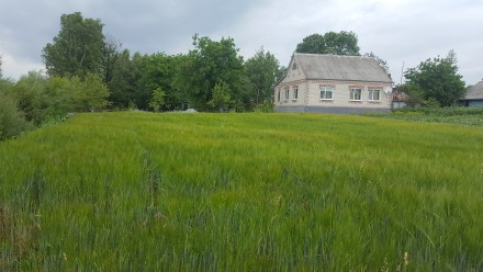 Продається будинок (120 м2.) з білої цегли в смт. Гриців, Шепетівського району (. . фото 3