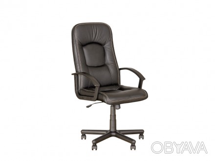 Кресло руководителя OMEGA BX Anyfix PM64 NS Nowy Styl (Новый Стиль)Кресло руково. . фото 1