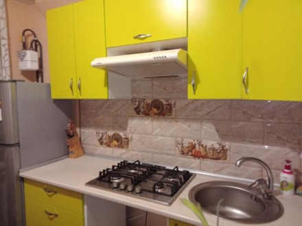 В квартире сделан евроремонт. Заходи и живи. Все окна выходят на р.Днепр. Приятн. . фото 6