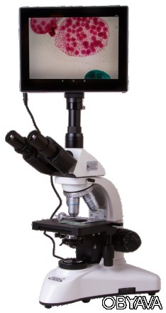 Levenhuk MED D25T LCD – цифровой микроскоп для светлопольных и темнопольных набл. . фото 1