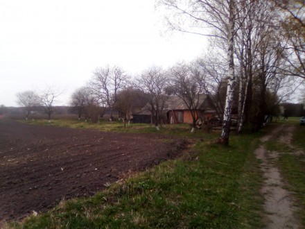 Будфинок знаходиться на хуторі Снігуровечина, 4 км від с. Горинка Кременецького . . фото 13