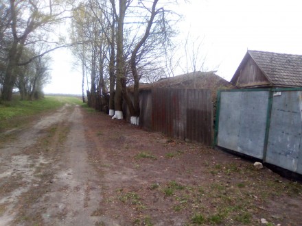 Будфинок знаходиться на хуторі Снігуровечина, 4 км від с. Горинка Кременецького . . фото 6
