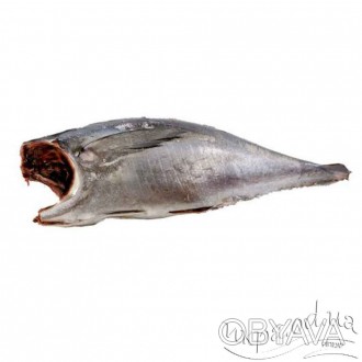 Вид рыбы: тунец Внешний вид: потрошенный без головы Вид заморозки: сухой без гла. . фото 1