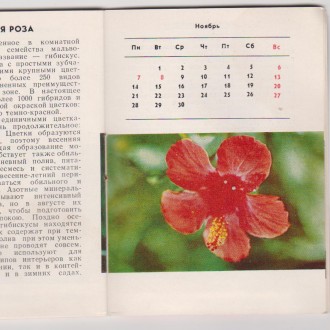 Коллекция 80г. календарей с цветами 15шт Цена за шт
книжка карманный календарь . . фото 4