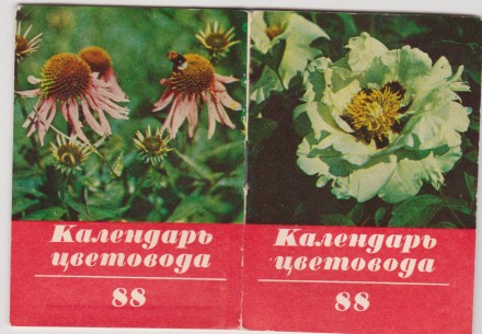 Коллекция 80г. календарей с цветами 15шт Цена за шт
книжка карманный календарь . . фото 3