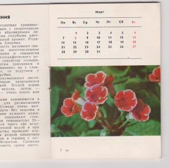 Коллекция 80г. календарей с цветами 15шт Цена за шт
книжка карманный календарь . . фото 5