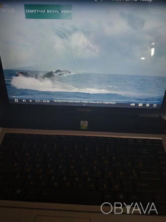 TOSHIBA Satellite