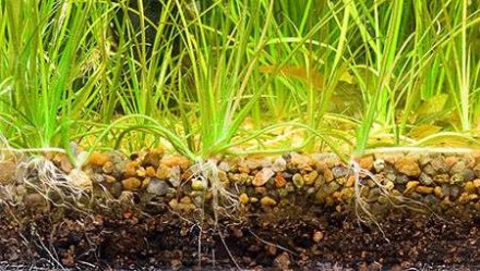 Грунт для растений AQUAYER Питательная подложка - грунтовая подкормка для аквари. . фото 4