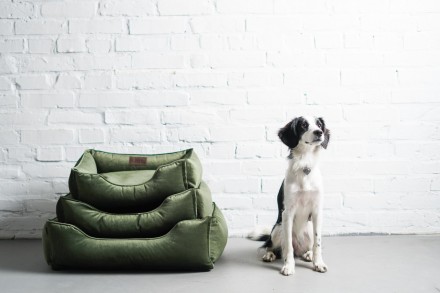 Лежак для Собак Котів та Кішок Dreamer Velour Green з бортами зі знімним чохлом . . фото 5