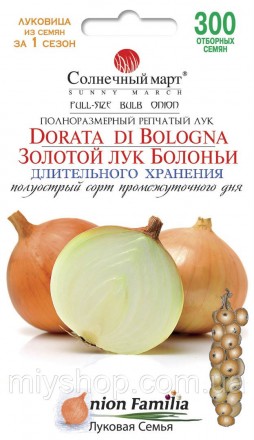 Репчатый лук Золотой лук Болоньи 300 шт Солнечный март. Лубны. фото 1 Репчатый лук Золотой лук Болоньи 300 шт Солнечный март. Лубны. фото 1
