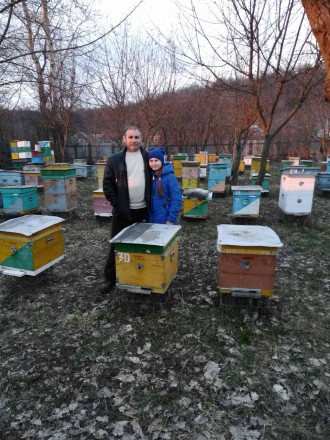 Продам бджолопакети. Сумы. фото 1 Продам бджолопакети. Сумы. фото 1