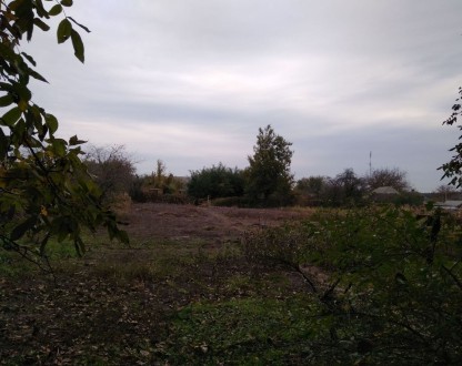 Продається хата в селі Білецьківка Кременчуцького району. . фото 6 Продається хата
в селі Білецьківка вулиця Весняна 64.
Будинок 64 квадратних м. . фото 6