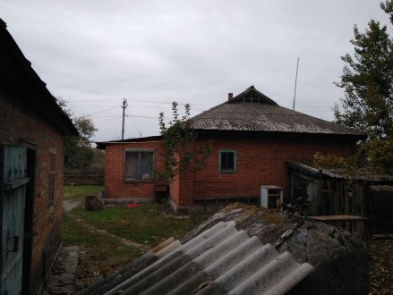 Продається хата в селі Білецьківка Кременчуцького району. . фото 3 Продається хата
в селі Білецьківка вулиця Весняна 64.
Будинок 64 квадратних м. . фото 3