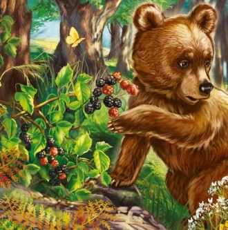 Милые зверята. Медвежонок Рос Ранок А582012Р
 
Серія книжок-картонок «Милі звіря. . фото 7