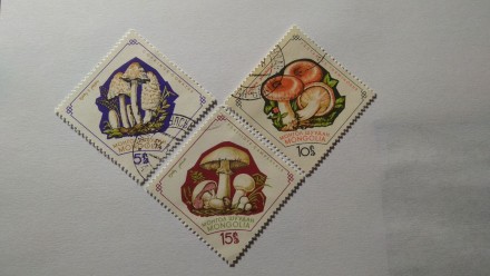 Марки гриби. Монголія. 1964. Ровно. фото 1 Марки гриби. Монголія. 1964. Ровно. фото 1
