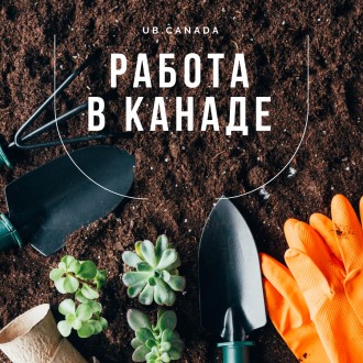Работа в Канаде. Полтава. фото 1 Работа в Канаде. Полтава. фото 1