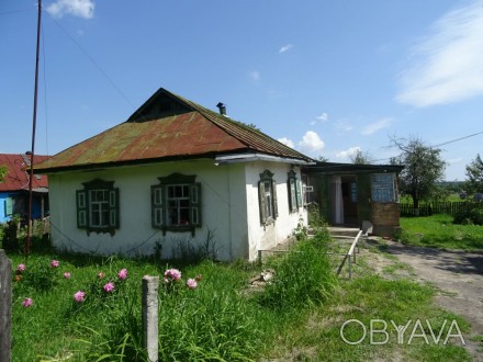 Продам старый дом в селе на большом ровном участке. Тихая зеленая улица, от кали. . фото 1