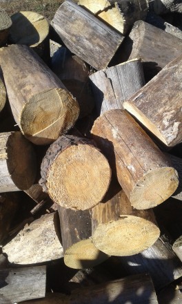 Доброго дня. Пропонуємо дрова твердих та м'яких порід:
- Дуб 1700 грн за с. . фото 4