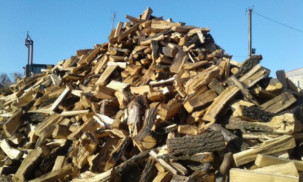 Доброго дня. Пропонуємо дрова твердих та м'яких порід:
- Дуб 1700 грн за с. . фото 3