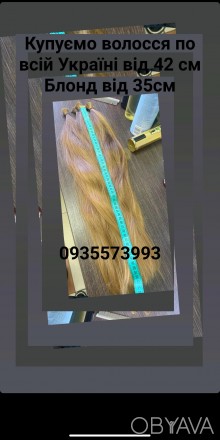 Центр закупівлі Волосся приймає натаральне волосся у населення від 43см натураль. . фото 1