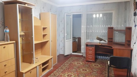 Оренда 1-ної квартири, Леваневський м-в. Белая Церковь. фото 1 Оренда 1-ної квартири, Леваневський м-в. Белая Церковь. фото 1