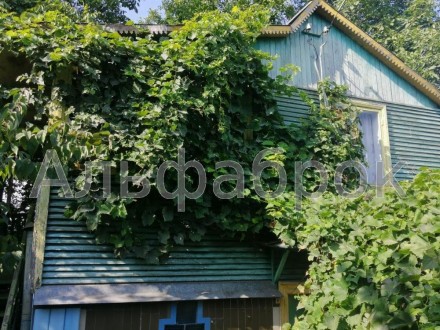 дача, 35 м.кв.. Киев. фото 1 дача, 35 м.кв.. Киев. фото 1
